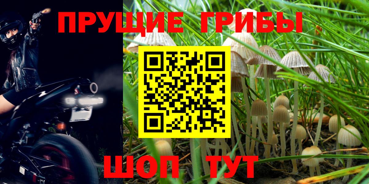 Железногорск  Псилоцибиновые грибы Cubensis  Вход с VPN  Галлюциногенные грибы прущие грибы 
