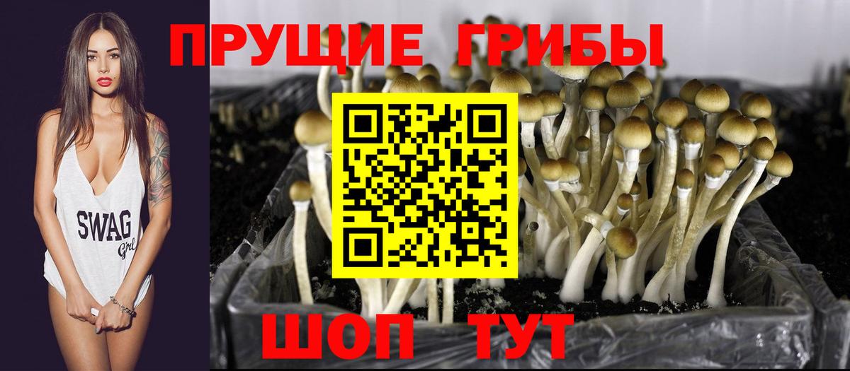 Галлюциногенные грибы Cubensis Железногорск